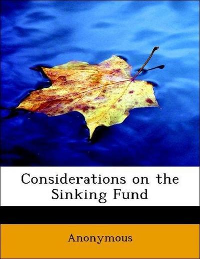 Considerations on the Sinking Fund