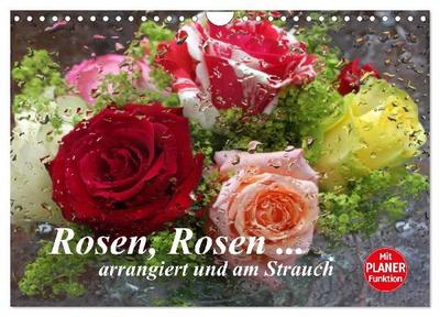 Rosen, Rosen... arrangiert und am Strauch (Wandkalender 2027 DIN A4 quer), CALVENDO Monatskalender