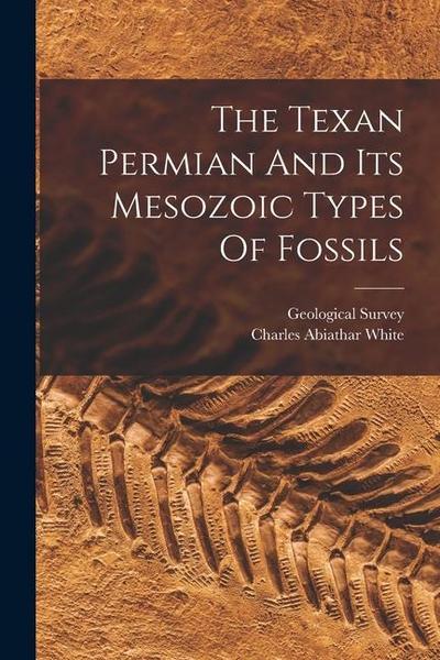 The Texan Permian And Its Mesozoic Types Of Fossils