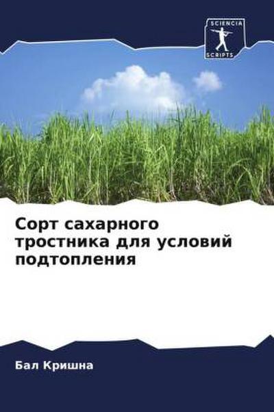 Sort saharnogo trostnika dlq uslowij podtopleniq