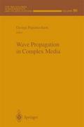 Wave Propagation in Complex Media