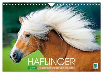Haflinger: Die blonden Pferde von der Alm (Wandkalender 2026 DIN A4 quer), CALVENDO Monatskalender