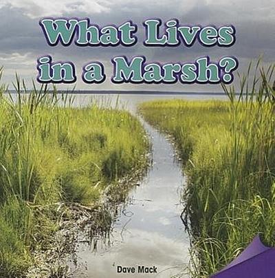 WHAT LIVES IN A MARSH