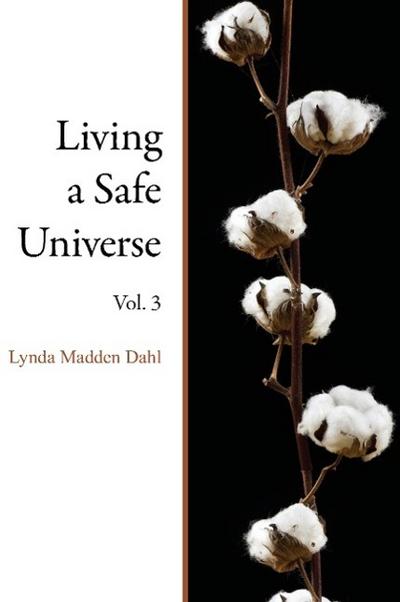 Living a Safe Universe, Vol. 3