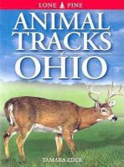 Animal Tracks of Ohio