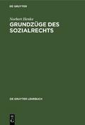 Grundzüge des Sozialrechts