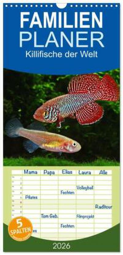 Familienplaner 2026 - Killifische der Welt mit 5 Spalten (Wandkalender, 21 x 45 cm) CALVENDO