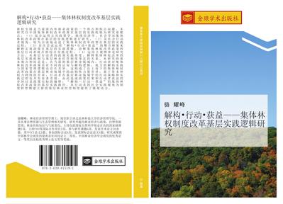 jie gou  xing dong  huo yi  ji ti lin quan zhi du gai ge ji ceng shi jian luo ji yan jiu