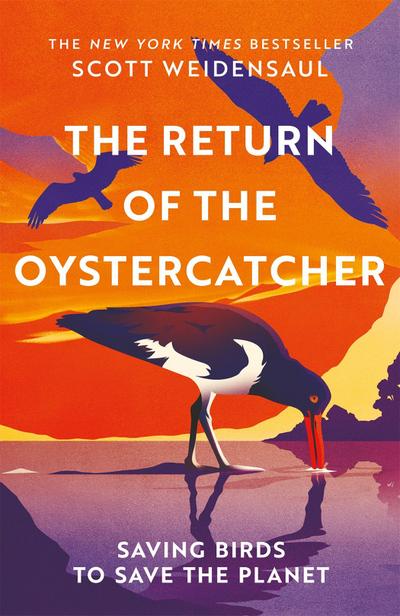 Return of the Oystercatcher, The