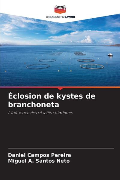 Éclosion de kystes de branchoneta