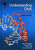 Understanding DNA
