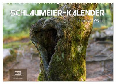Schlaumeier-Kalender - Thema: Wald (Wandkalender 2024 DIN A2 quer), CALVENDO Monatskalender