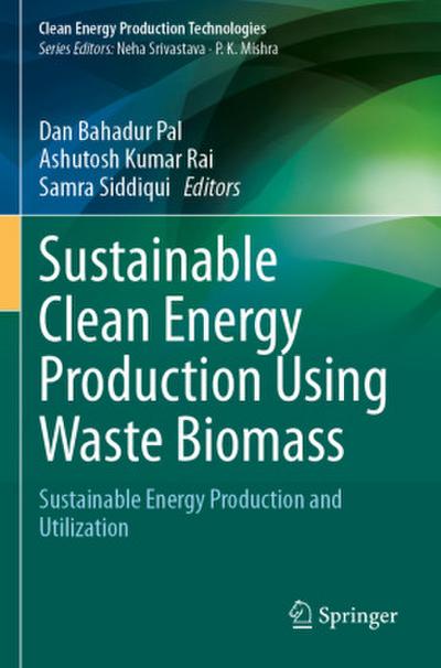 Sustainable Clean Energy Production Using Waste Biomass