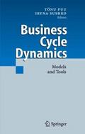 Business Cycle Dynamics