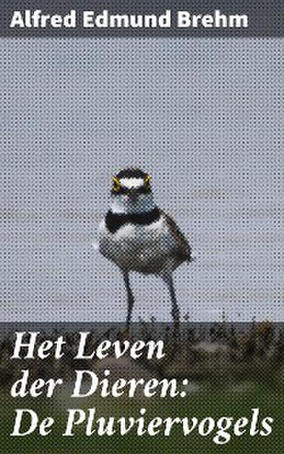 Het Leven der Dieren: De Pluviervogels