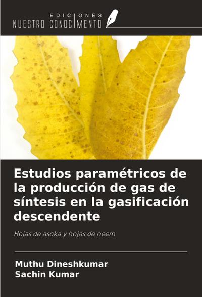Estudios paramétricos de la producción de gas de síntesis en la gasificación descendente