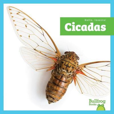 Cicadas