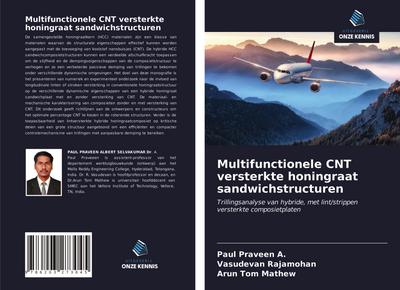 Multifunctionele CNT versterkte honingraat sandwichstructuren