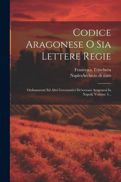 Codice Aragonese O Sia Lettere Regie: Ordinamenti Ed Altri Governativi De’sovrani Aragonesi In Napoli, Volume 3...
