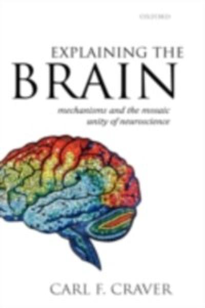 Explaining the Brain