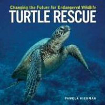 Turtle Rescue
