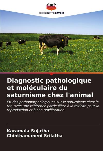 Diagnostic pathologique et moléculaire du saturnisme chez l’animal