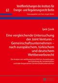 Eine vergleichende Untersuchung der Joint Ventures