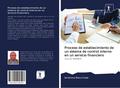 Proceso de establecimiento de un sistema de control interno en un servicio financiero