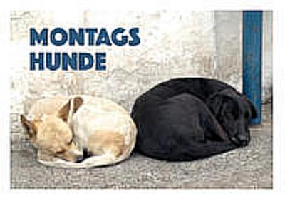 Montagshunde