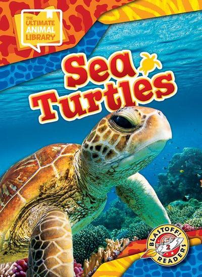 Sea Turtles