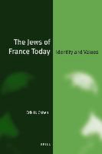 The Jews of France Today (Paperback): Identity and Values