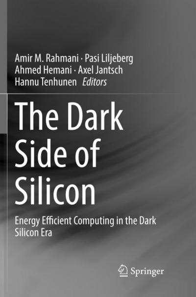 The Dark Side of Silicon