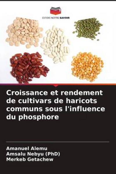 Croissance et rendement de cultivars de haricots communs sous l’influence du phosphore