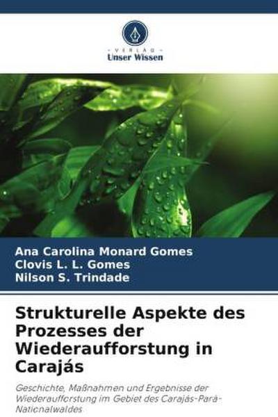 Strukturelle Aspekte des Prozesses der Wiederaufforstung in Carajás
