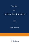 Vom Bau und Leben des Gehirns
