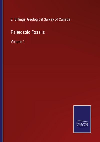 Palæozoic Fossils