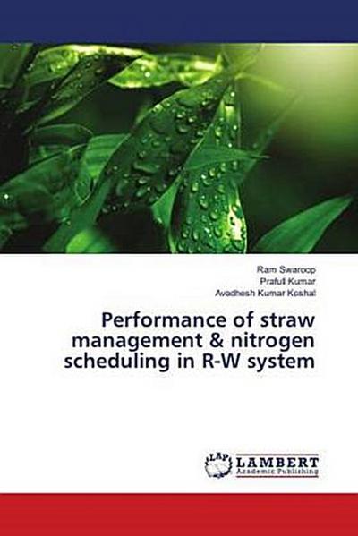 Performance of straw management & nitrogen scheduling in R-W system