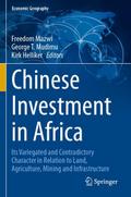 Chinese Investment in Africa
