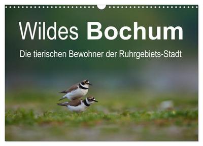 Wildes Bochum (Wandkalender 2026 DIN A3 quer), CALVENDO Monatskalender