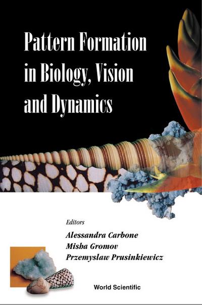 PATTERN FORMATION IN BIOLOGY, VISION...