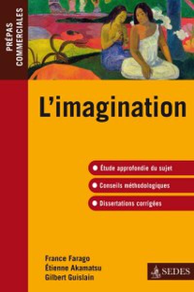 L’imagination -epreuve de culture generale 2010-2011