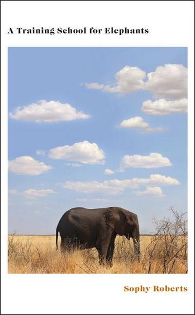 A Training School for Elephants