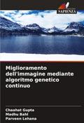 Miglioramento dell’immagine mediante algoritmo genetico continuo