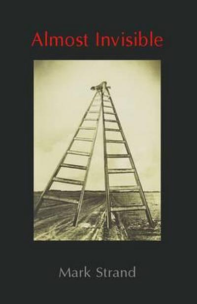 Strand, M: Almost Invisible