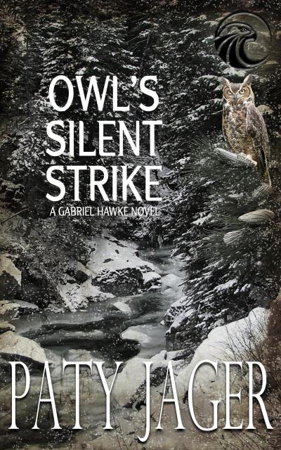 Owl’s Silent Strike (Gabriel Hawke Novel, #9)