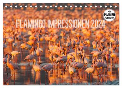 Flamingo Impressionen 2024 (Tischkalender 2024 DIN A5 quer), CALVENDO Monatskalender