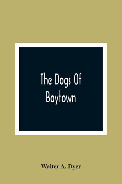 The Dogs Of Boytown