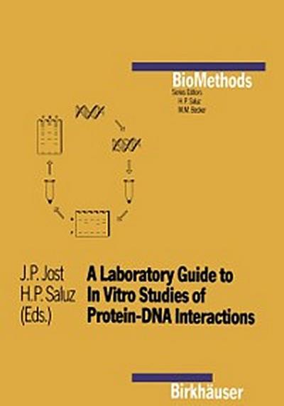 Laboratory Guide to In Vitro Studies of Protein-DNA Interactions