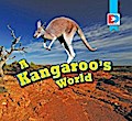 A Kangaroo’s World