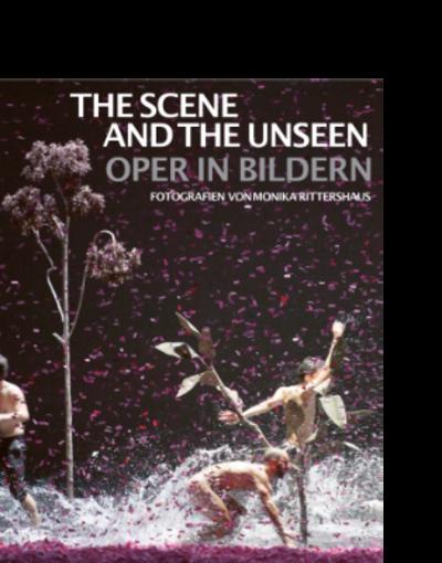 The Scene and the Unseen